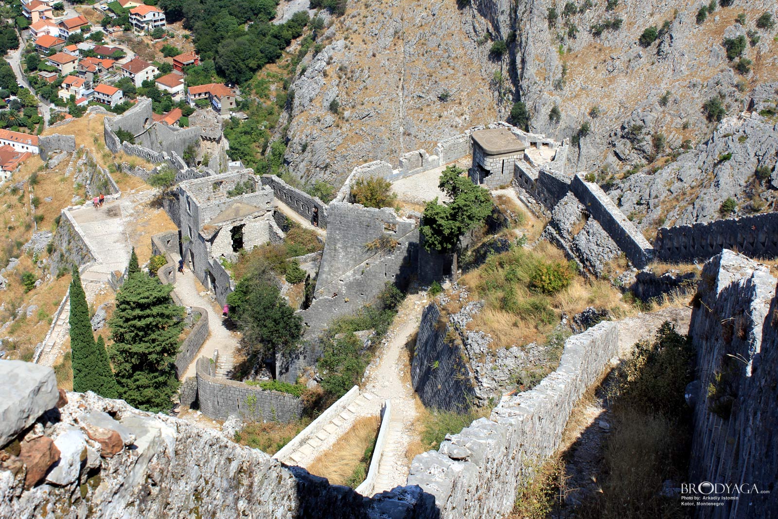 Kotor